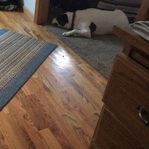 Meet your Posher, Chris